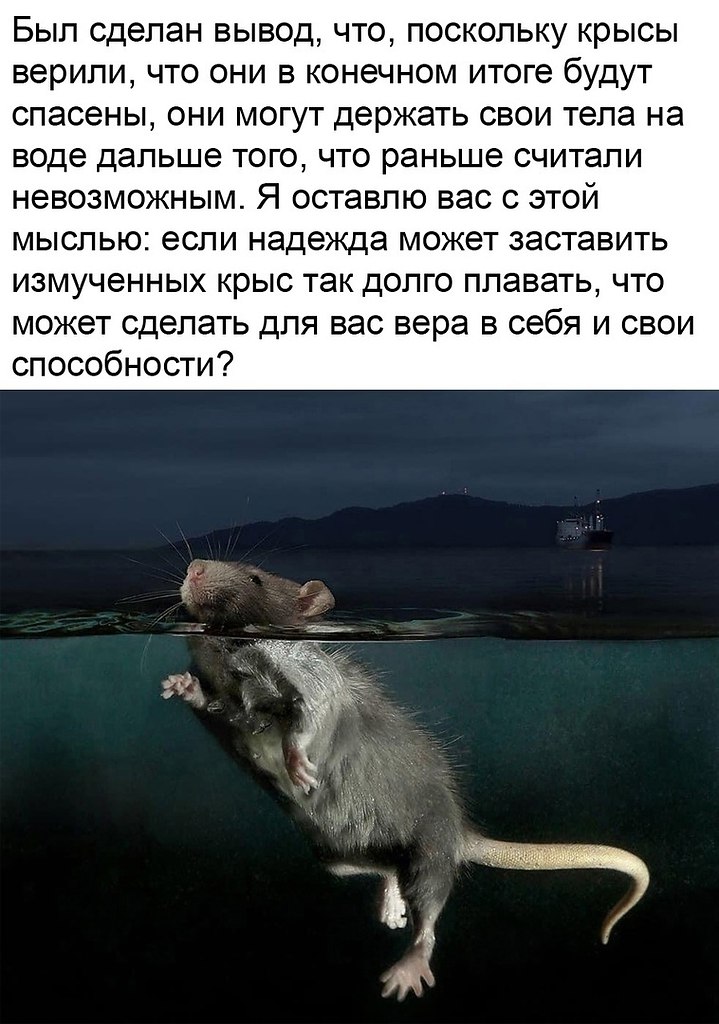 ,          ,     ... - 3