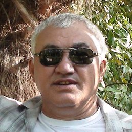 �����, ���������, 71 ���