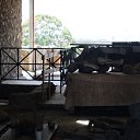 ���� ���������, �������, 53 ���� - ��������� 24 ���� 2021 � ������ �������