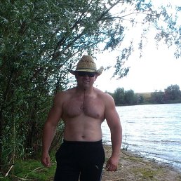 , 43 , 
