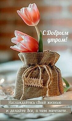***Victoria Viktorovna*** - 10  2021  08:49 - 4