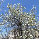  , , 73  -  3  2021      2021