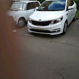 �����, ����������, 37 ���