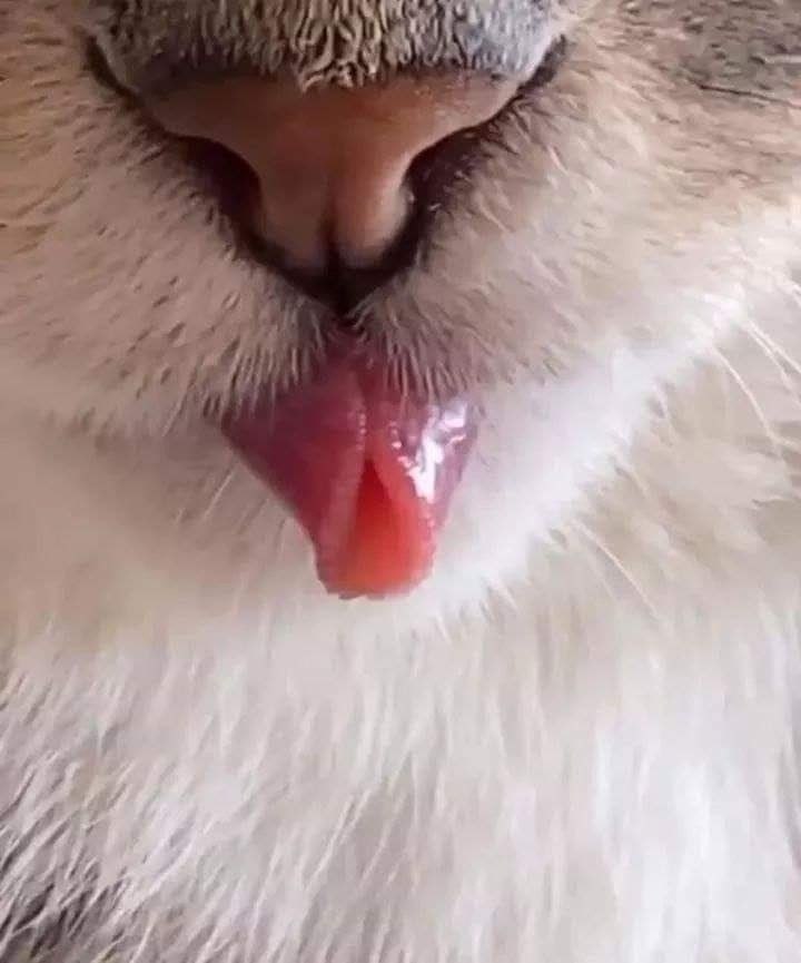    ,     : - 2