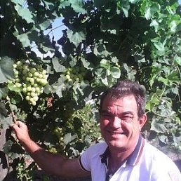 ������, ������, 67 ���