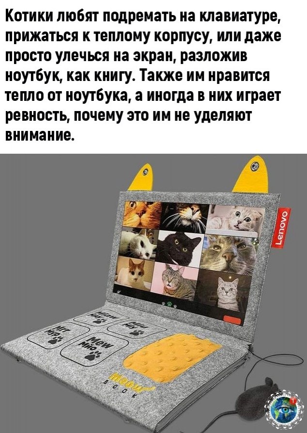 aoe-o aoe opeee eoeeca! - 2