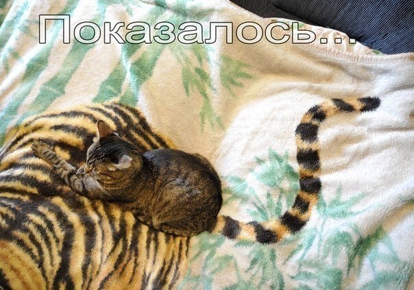 ��� �������� �������� - 6 ������ 2021 � 13:35