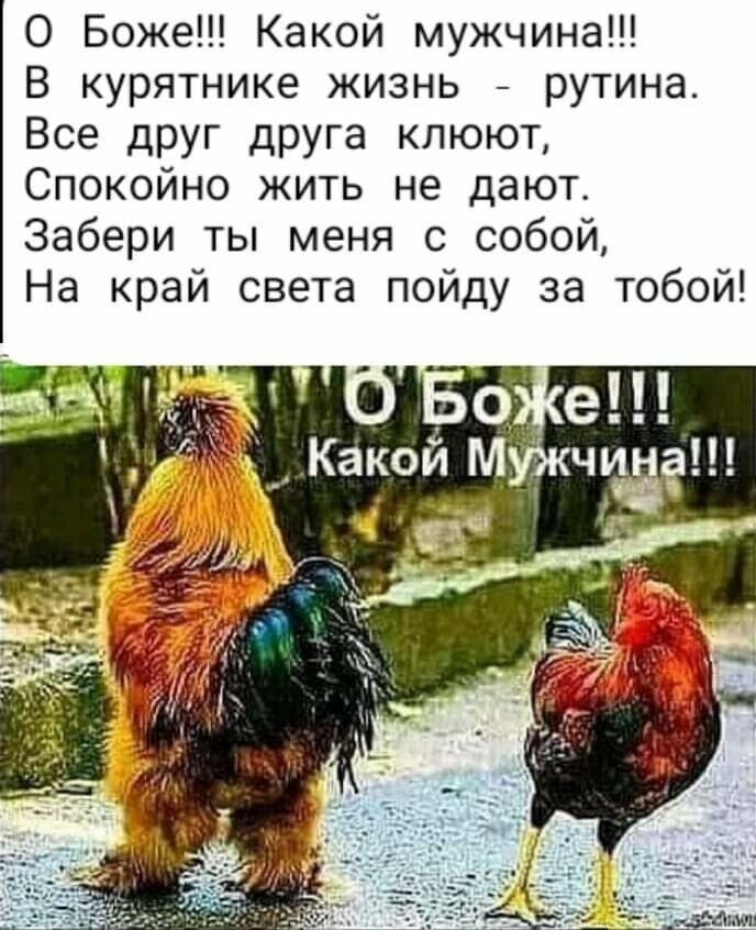  - 4  2021  20:01