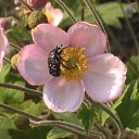 ���� ���, ����, 56 ��� - ��������� 20 ��� 2021 � ������ ���� ����������