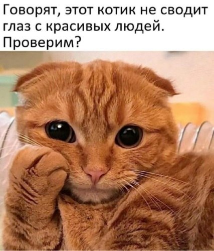   ! - 7  2021  22:59