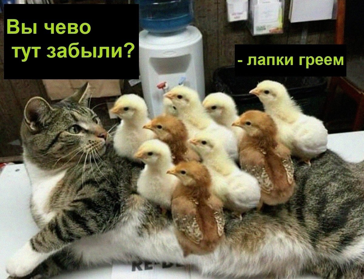   :D - 29  2021  12:45