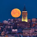 ���� The_turk, ������, 44 ���� - ��������� 3 ������� 2022