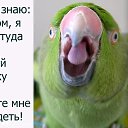  , -, 67  -  19  2022    