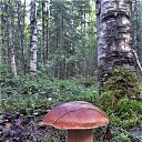 ���� �����, �����-���������, 63 ���� - ��������� 3 �������� 2021 � ������ ������ ��������