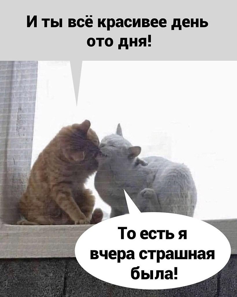 - 6  2021  07:27 - 3