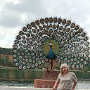 ���� ����, ����������, 65 ��� - ��������� 13 ���� 2021 � ������ ���� ����������