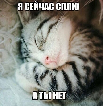    - 11  2021  00:13