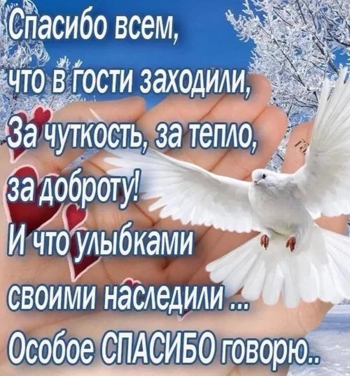   ,    . - 15  2021  19:26