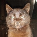 ���� ����, ������, 67 ��� - ��������� 3 ������ 2022 � ������ ���� ����������