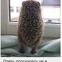 ���� �����, ������������ - ��������� 31 ������� 2021 � ������ ���� ���������