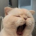 ���� Dead, ������, 29 ��� - ��������� 15 ���� 2021 � ������ ���� ����������