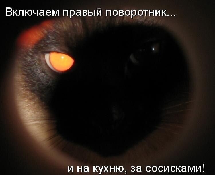    - 25  2021  11:40