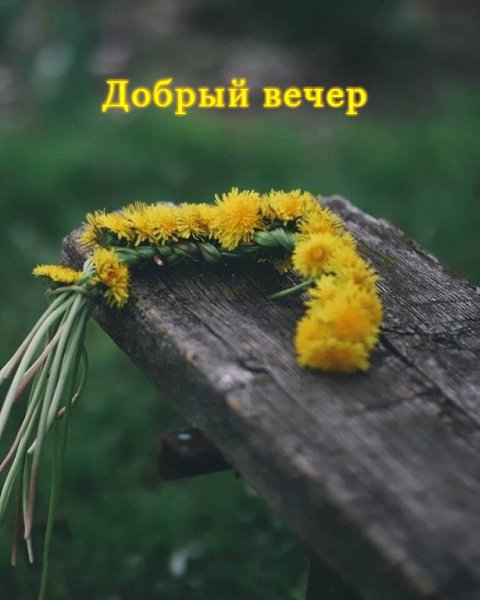   ,    . - 15  2021  16:44