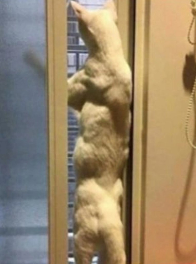   - 2