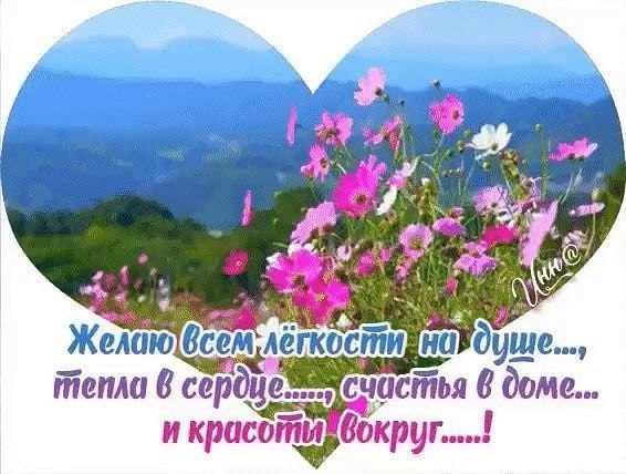   ,    . - 25  2021  13:17