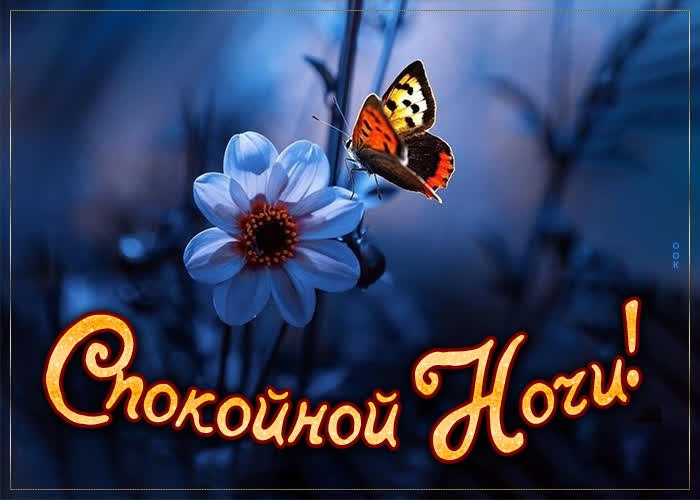 ����������� � ���������, �������� �� ������ ����. - 21 ���� 2021 � 18:34