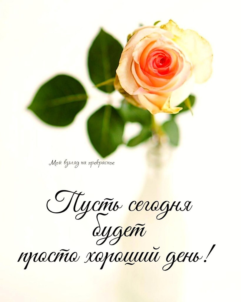   ,    . - 9  2021  22:05 - 9