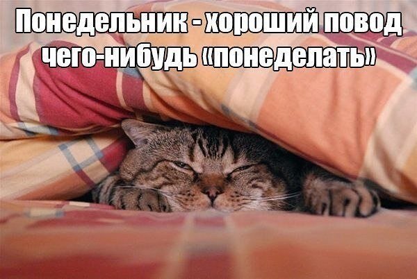    - 9  2021  12:39