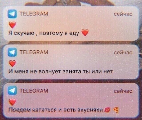 ,     : - 6