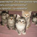 ���� ������, �����-���������, 67 ��� - ��������� 19 ������ 2021 � ������ ������ ��������