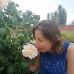 , 43, -