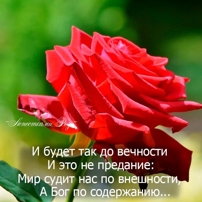   - 2  2021  19:03