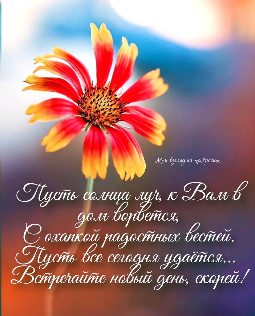   ,    . - 9  2021  22:05 - 2