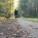 ���� �������, �������, 37 ��� - ��������� 24 ������� 2021