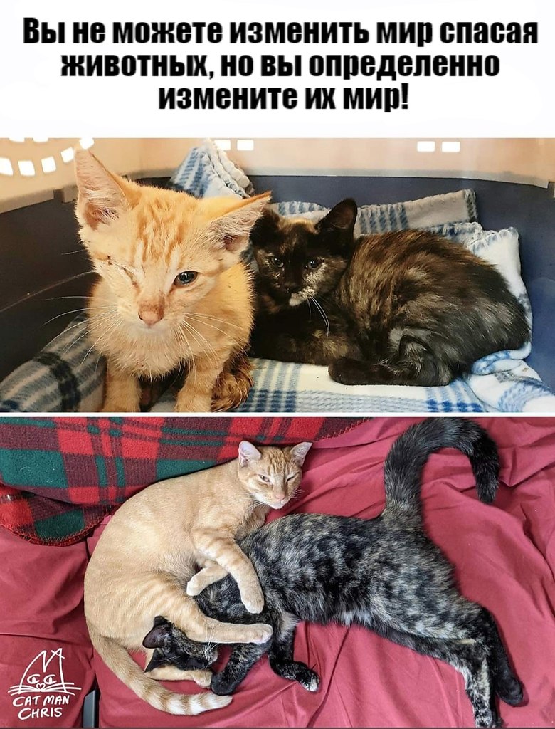       - 13  2021  20:22