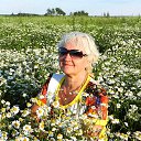 ���� �������, �����������, 73 ���� - ��������� 26 ������� 2021 � ������ ���� ����������