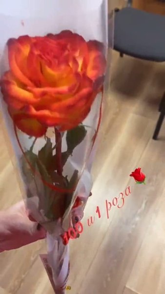 Попросила парня подарить сто одну розу - 3