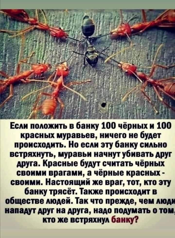  - 1  2021  02:02