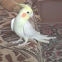 ���� ������, �����������, 46 ��� - ��������� 14 ������� 2021 � ������ ���� ����������