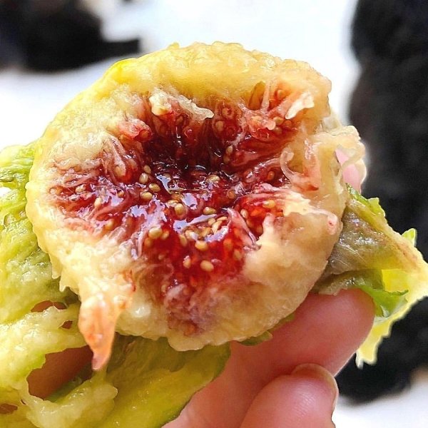  a, o oco oo pa, oop  , cop o pa p oy py ocy, ... - 4