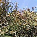 ���� �����, ���������, 55 ��� - ��������� 19 ��� 2021 � ������ �������� ��� 2021�