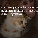 ���� �������, ����������� - ��������� 16 �������� 2021 � ������ ������ ��������