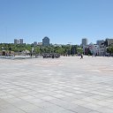  , , 43  -  8  2021   04.06.2021