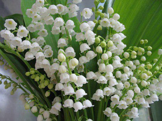   ,    . - 18  2021  22:56 - 6