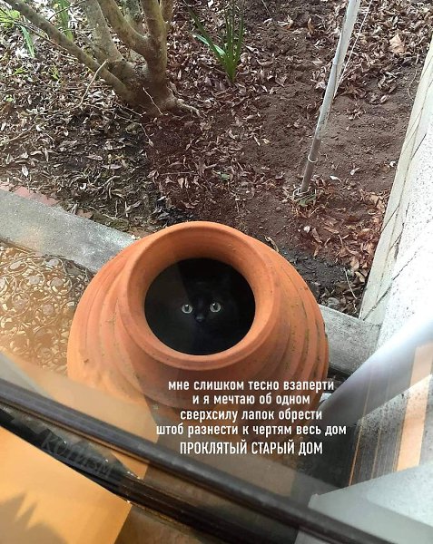 ������ ���!