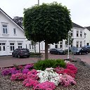  Vera,  -  5  2021    